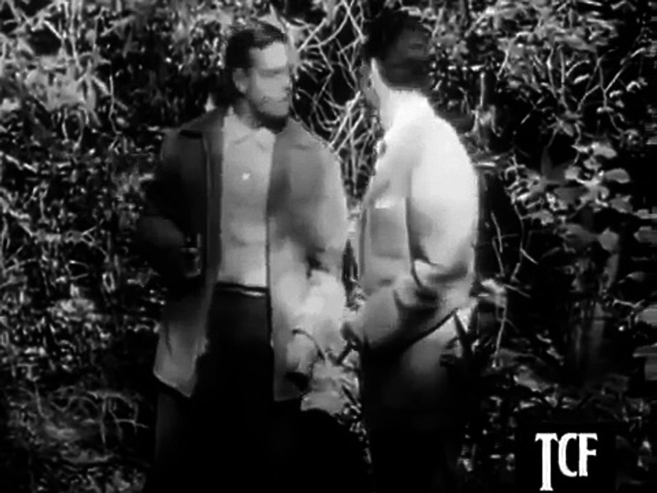 Highway Patrol S03E27 Policewoman