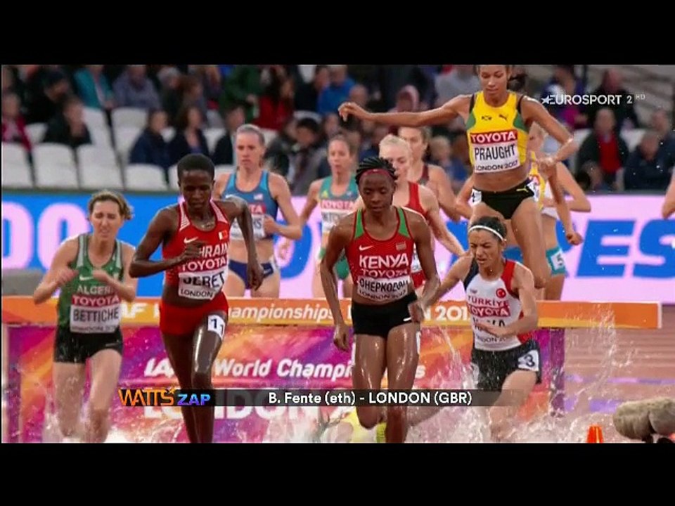 Sport Remix Watts Zap Special 2017 (Part.8)