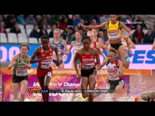 Sport Remix Watts Zap Special 2017 (Part.8)