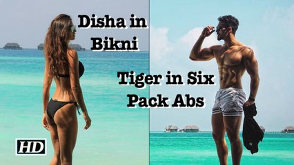 Disha in Bikni, Tiger in Six Pack Abs vacationing together