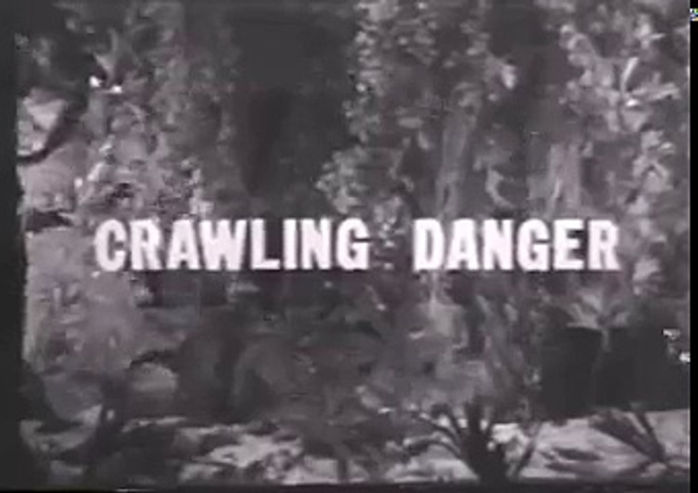 Diver Dan 31 Crawling Danger