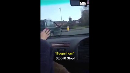 Quand tes vaches veulent se barrer du camion !