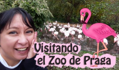 EN EL ZOO DE REPUBLICA CHECA CON MI YORKIE - Aracelli Vlogs!!