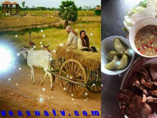 ចំរៀងខ្មែរស្រុកស្រែចំការ Khmer Cambodia Music Song Daily New