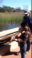 Ces hérons chantent sur des airs d'un violon joué par une fillette !