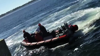Florida pensioner rescued from drowning car