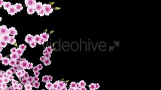 Sakura Alpha 03 by nguluidu - Hive