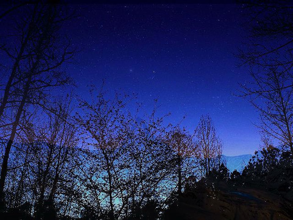 By Starlight - Neil Pybus