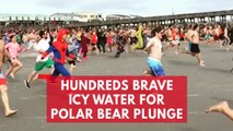 Beachgoers brave icy waters for annual Polar Bear Plunge