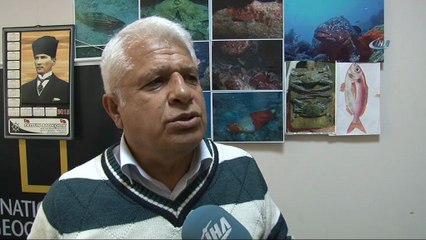 Mersin Dana Adası açıklarında ilk kez  'Manda Göz' balığı yakalandı
