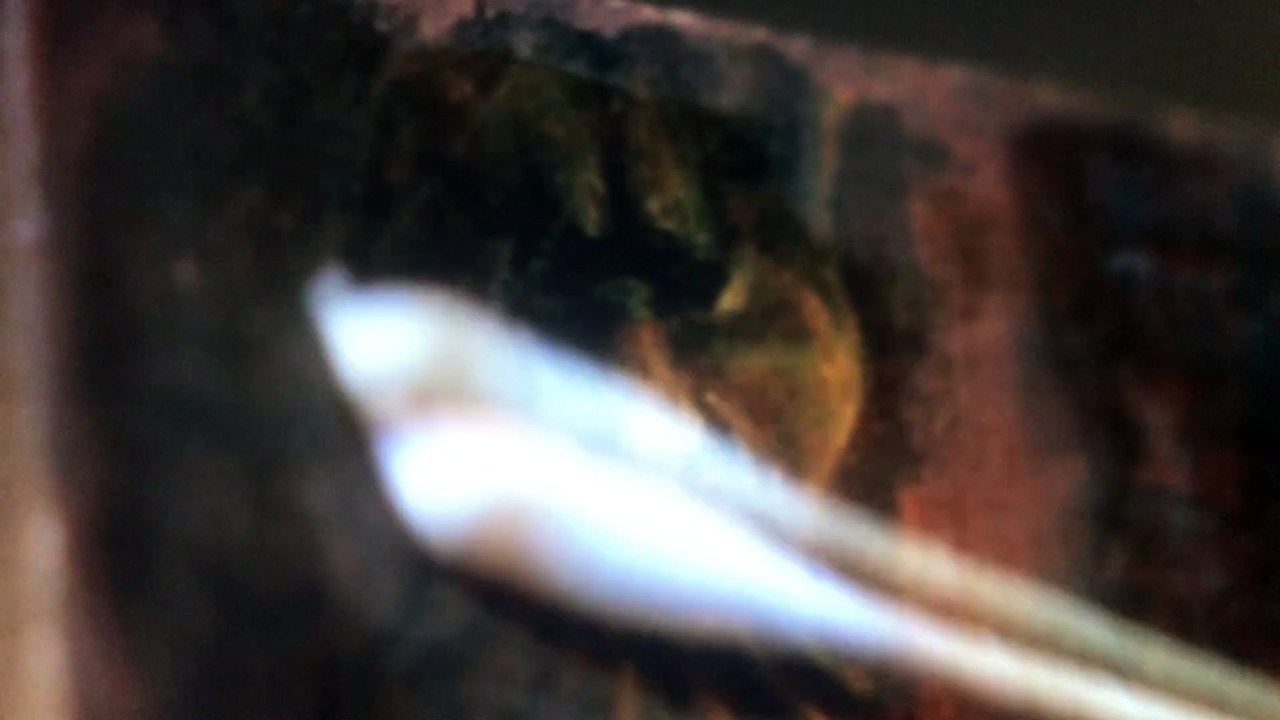 Ce que mes yeux ont vu