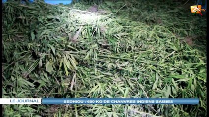 SÉDHIOU : 600 KG DE CHANVRES INDIENS SAISIES
