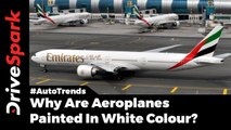 Why Are Planes White In Colour? - DriveSpark