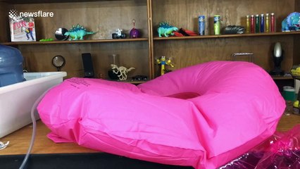 Nutty professor dad fills inflatable flamingo with hydrogen and then lights it