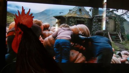 Un coq regarde Harry Potter