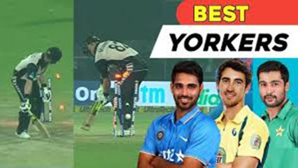 विश्व क्रिकेट के सबसे सर्वश्रेष्ठ 10 यॉर्कर्स !