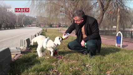 Altı bezleniyor, biberonla besleniyor, oyun oynuyor