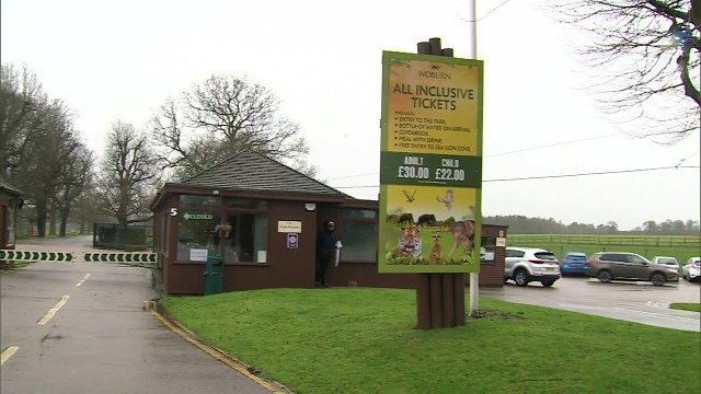 Fire kills 13 Patas Monkeys at Woburn Safari Park