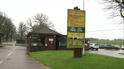 Fire kills 13 Patas Monkeys at Woburn Safari Park