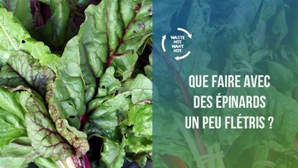 Recette : que faire avec des épinards ?