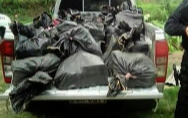 774 kilos de droga fueron decomisadas en mega operativo “Fin de Año”