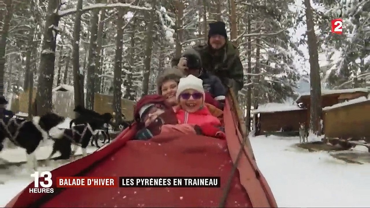 Balade d'hiver : les Pyrénées en traîneau