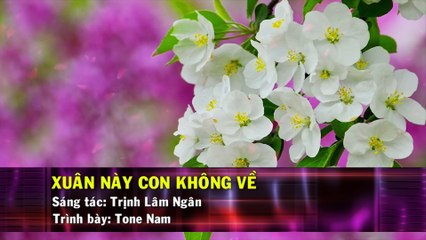 Xuân Này Con Không Về (Karaoke Beat) - Quang Lê