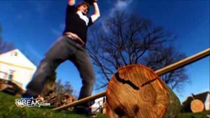 Mais pourquoi il a fait ça... Adieu les coucougnettes!