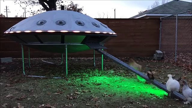 Un drôle de poulailler en forme de soucoupe volante