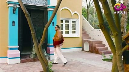 Is Chand Pe Dagh Nahin - Episode 26