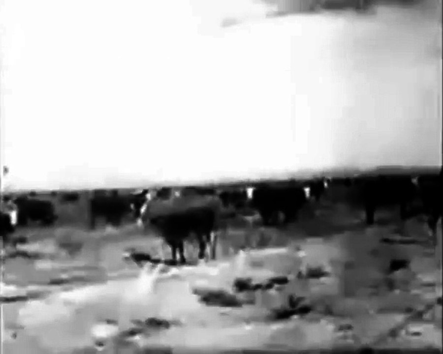 Wolves of the Range (1943) WESTERN part 1/2