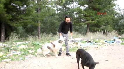 Osmaniye-Unlu Mamul Atıkları Hayvanlara Yem Oldu