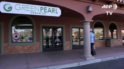 Eufórico inicio de la marihuana recreativa en California