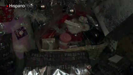 Los gatos son los peores enemigos de los árboles de Navidad