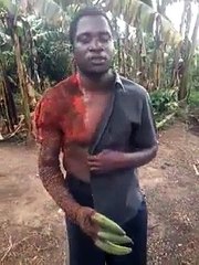 Horreur! il se transforme en arbre fruitier après avoir volé quelques bananes
