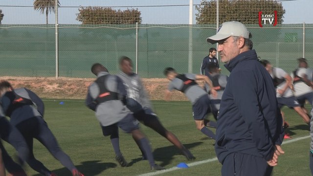 Les Dogues de retour à l'entraînement