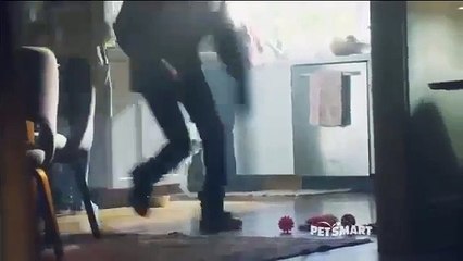 Hungry for Turkey   PetSmart Commercial 2015