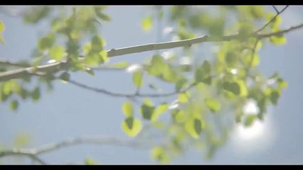 Our Nature   The Nature Conservancy