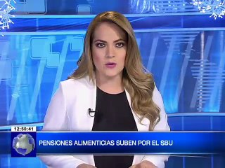 Pensiones alimenticias suben por el Salario Básico Unificados