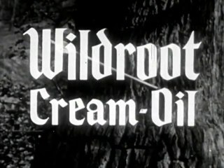 The Adventures of Robin Hood (1955) S01E1 - Coming Of Robin Hood
