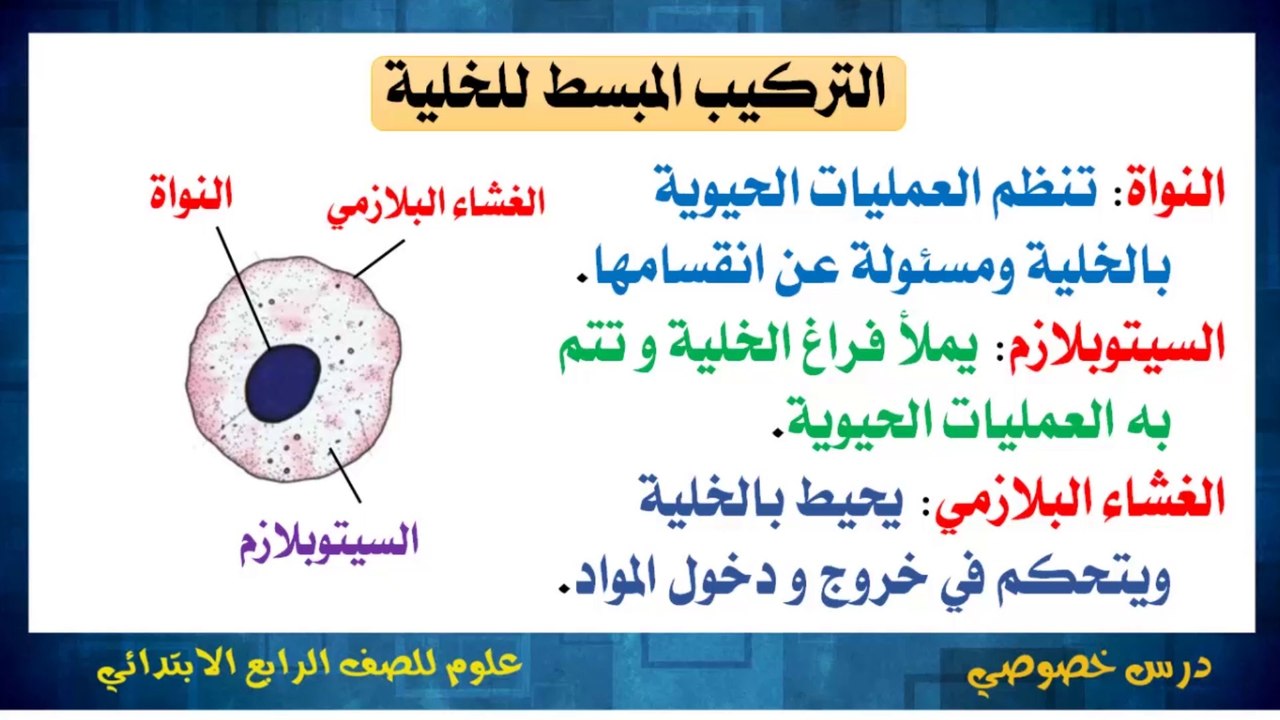 العلوم للصف الرابع الابتدائي { 05 } الخلية وحدة بناء الكائن الحي