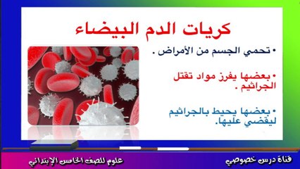 العلوم للصف الخامس الإبتدائي { 04 } الدم ومكوناته ووظائفه وبعض التطبيقات الحياتية