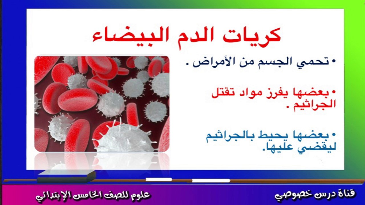 العلوم للصف الخامس الإبتدائي { 04 } الدم ومكونا...