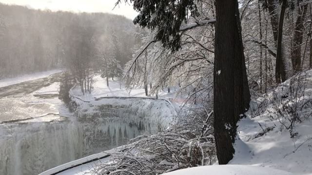 Letchworth Park Waterfalls Freeze Over During Bitter Cold Snap