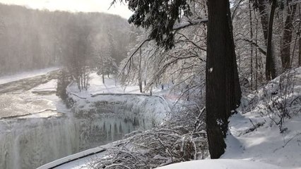 Letchworth Park Waterfalls Freeze Over During Bitter Cold Snap