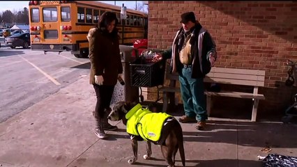 Homeless Man, Dog Reunited After Woman Took Pet Thinking it Was Abandoned