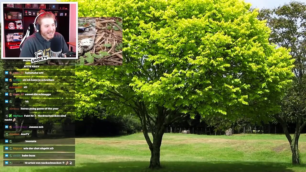 Unge REAGIERT auf Nacktschnecken Fakten! | ungeklickt