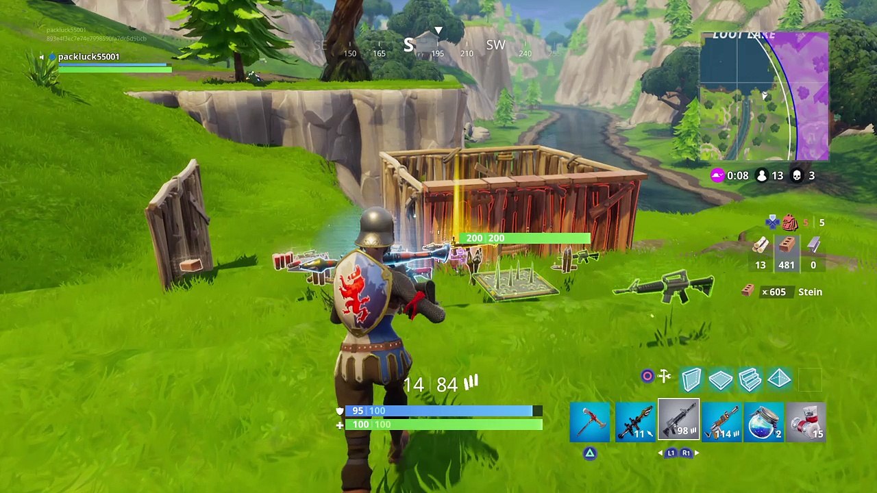 Fortnite epischer sieg  #1