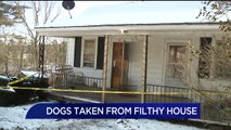 Dog Breeders Accused of Leaving Animals in the Cold, More Living in Deplorable Conditions