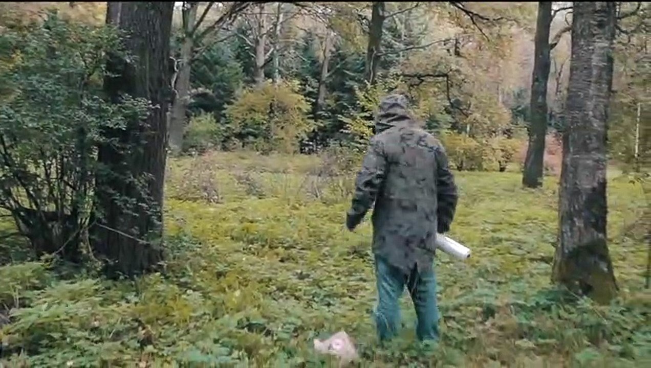 Cet artiste peint des animaux géants en pleine forêt sur cellophane